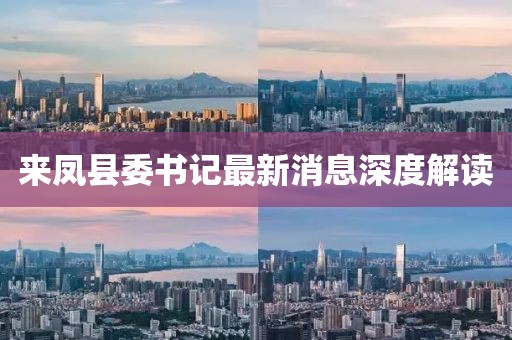来凤县委书记最新消息深度解读