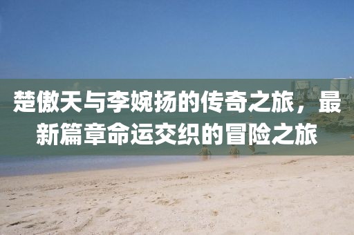 楚傲天与李婉扬的传奇之旅，最新篇章命运交织的冒险之旅