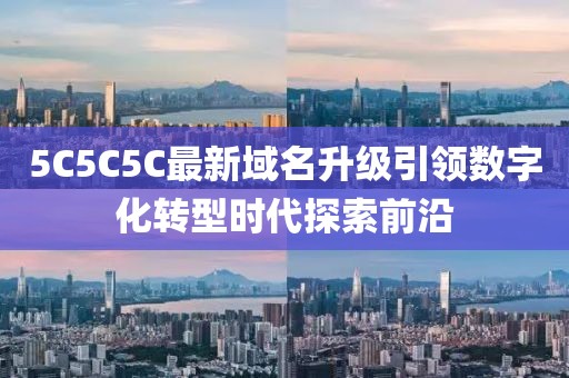 5C5C5C最新域名升级引领数字化转型时代探索前沿