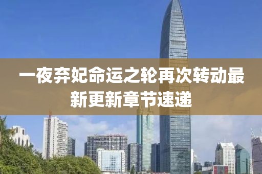 一夜弃妃命运之轮再次转动最新更新章节速递
