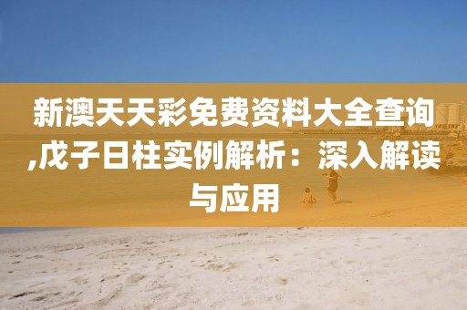 新澳天天彩免费资料大全查询,戊子日柱实例解析：深入解读与应用