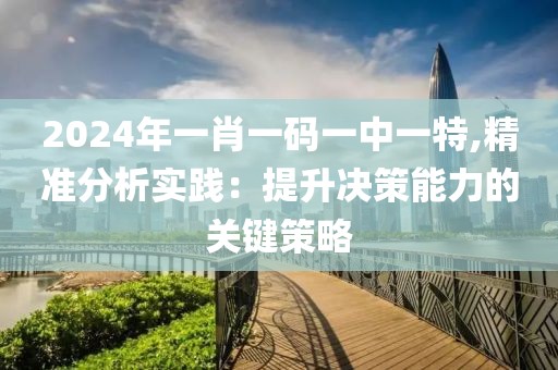 2024年一肖一码一中一特,精准分析实践：提升决策能力的关键策略