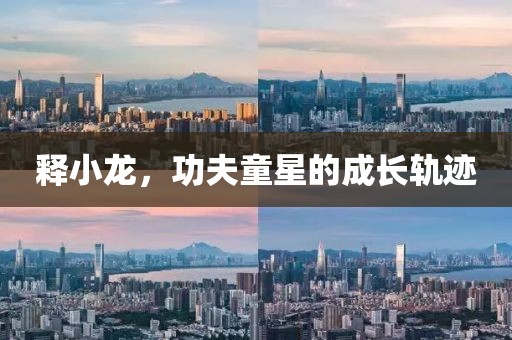 释小龙，功夫童星的成长轨迹
