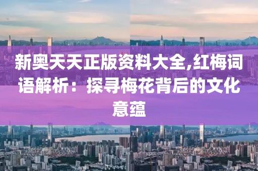 新奥天天正版资料大全,红梅词语解析：探寻梅花背后的文化意蕴