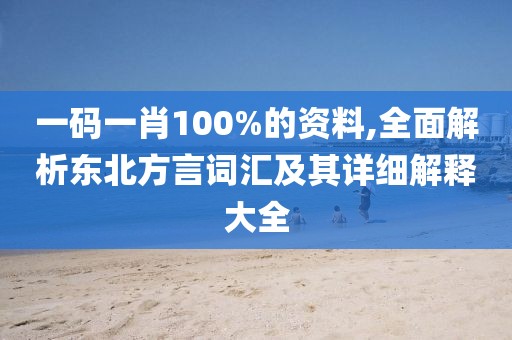 一码一肖100%的资料,全面解析东北方言词汇及其详细解释大全