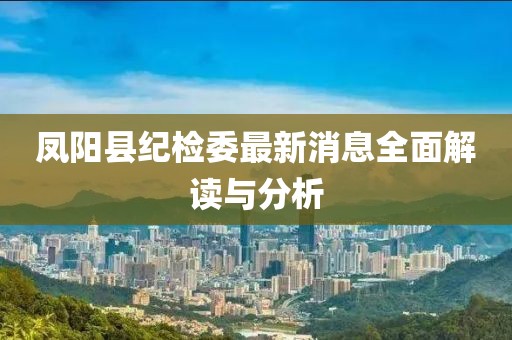 凤阳县纪检委最新消息全面解读与分析