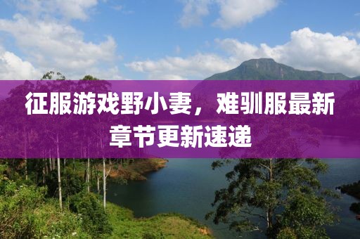 征服游戏野小妻，难驯服最新章节更新速递