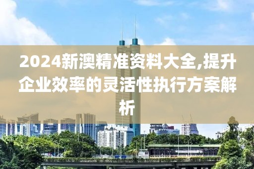 2024新澳精准资料大全,提升企业效率的灵活性执行方案解析