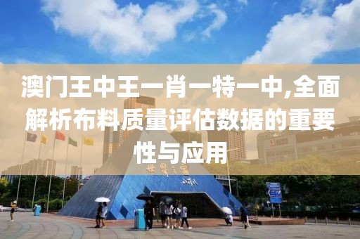澳门王中王一肖一特一中,全面解析布料质量评估数据的重要性与应用