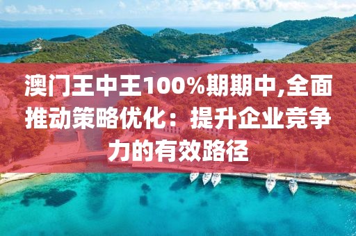 澳门王中王100%期期中,全面推动策略优化：提升企业竞争力的有效路径