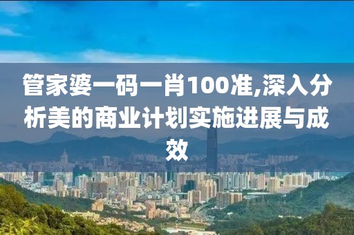 管家婆一码一肖100准,深入分析美的商业计划实施进展与成效
