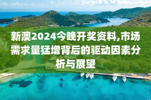 新澳2024今晚开奖资料,市场需求量猛增背后的驱动因素分析与展望