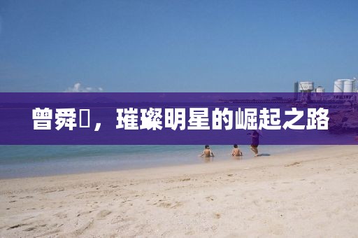 曾舜晞，璀璨明星的崛起之路