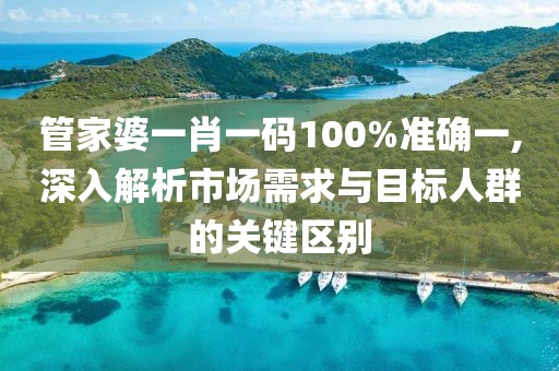 管家婆一肖一码100%准确一,深入解析市场需求与目标人群的关键区别