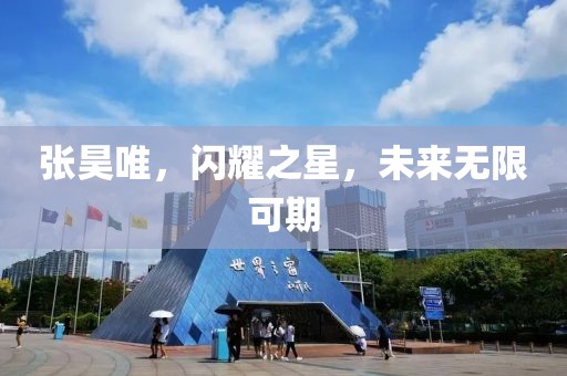 张昊唯，闪耀之星，未来无限可期