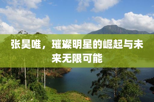 张昊唯，璀璨明星的崛起与未来无限可能