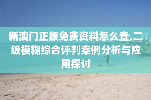 新澳门正版免费资料怎么查,二级模糊综合评判案例分析与应用探讨