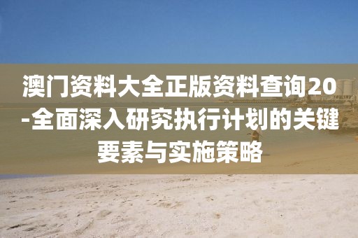 澳门资料大全正版资料查询20-全面深入研究执行计划的关键要素与实施策略