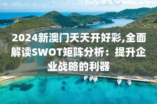 2024新澳门天天开好彩,全面解读SWOT矩阵分析：提升企业战略的利器
