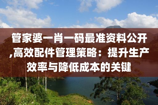 管家婆一肖一码最准资料公开,高效配件管理策略：提升生产效率与降低成本的关键