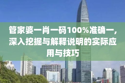管家婆一肖一码100%准确一,深入挖掘与解释说明的实际应用与技巧