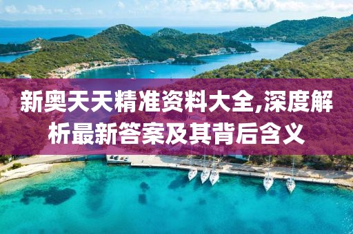 新奥天天精准资料大全,深度解析最新答案及其背后含义