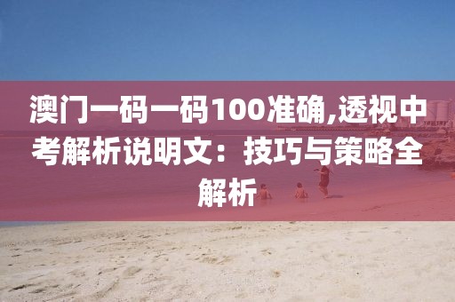 澳门一码一码100准确,透视中考解析说明文：技巧与策略全解析