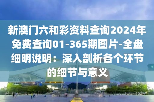 新澳门六和彩资料查询2024年免费查询01-365期图片-全盘细明说明：深入剖析各个环节的细节与意义