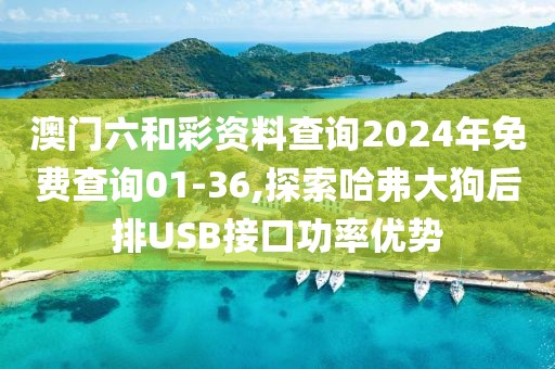 澳门六和彩资料查询2024年免费查询01-36,探索哈弗大狗后排USB接口功率优势
