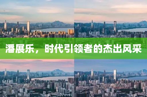 潘展乐，时代引领者的杰出风采