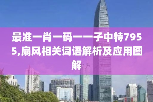 最准一肖一码一一子中特7955,扇风相关词语解析及应用图解