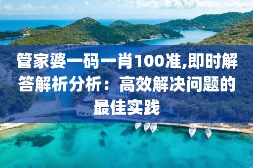 管家婆一码一肖100准,即时解答解析分析：高效解决问题的最佳实践