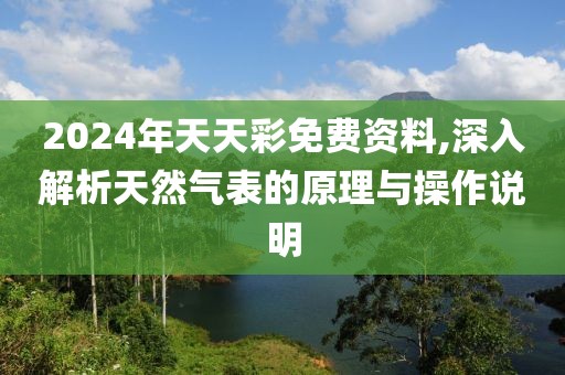 2024年天天彩免费资料,深入解析天然气表的原理与操作说明