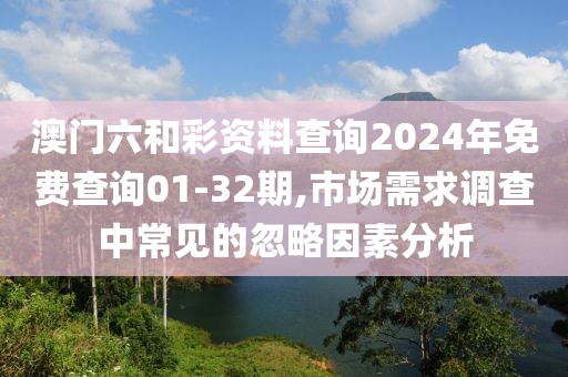 澳门六和彩资料查询2024年免费查询01-32期,市场需求调查中常见的忽略因素分析