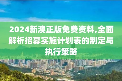 2024新澳正版免费资料,全面解析招募实施计划表的制定与执行策略