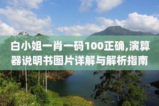 白小姐一肖一码100正确,演算器说明书图片详解与解析指南
