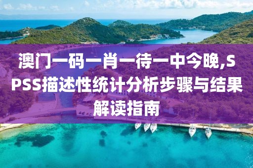 澳门一码一肖一待一中今晚,SPSS描述性统计分析步骤与结果解读指南