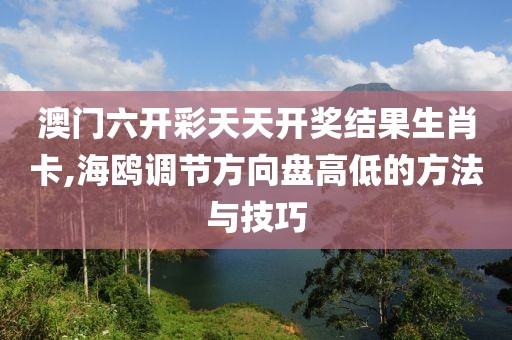 澳门六开彩天天开奖结果生肖卡,海鸥调节方向盘高低的方法与技巧