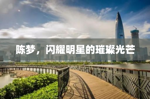 陈梦，闪耀明星的璀璨光芒