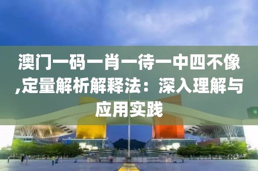 澳门一码一肖一待一中四不像,定量解析解释法：深入理解与应用实践