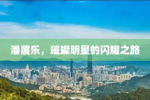 潘展乐，璀璨明星的闪耀之路
