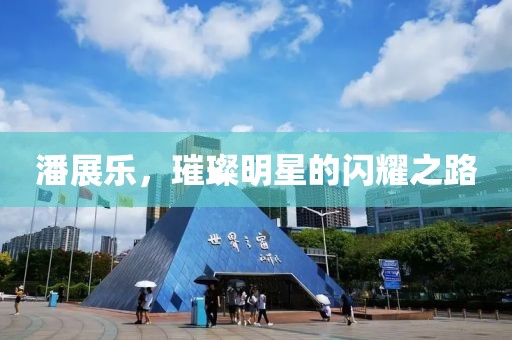 潘展乐，璀璨明星的闪耀之路