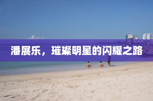 潘展乐，璀璨明星的闪耀之路