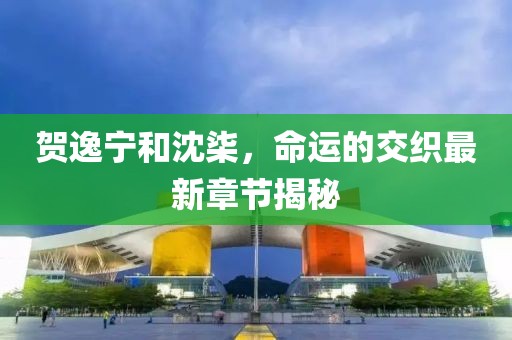贺逸宁和沈柒，命运的交织最新章节揭秘