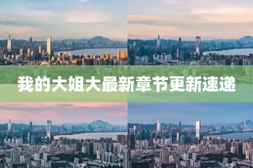 我的大姐大最新章节更新速递
