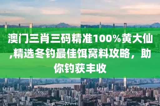 澳门三肖三码精准100%黄大仙,精选冬钓最佳饵窝料攻略，助你钓获丰收