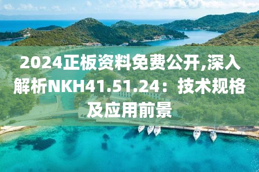 2024正板资料免费公开,深入解析NKH41.51.24：技术规格及应用前景
