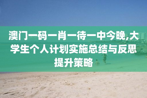澳门一码一肖一待一中今晚,大学生个人计划实施总结与反思提升策略