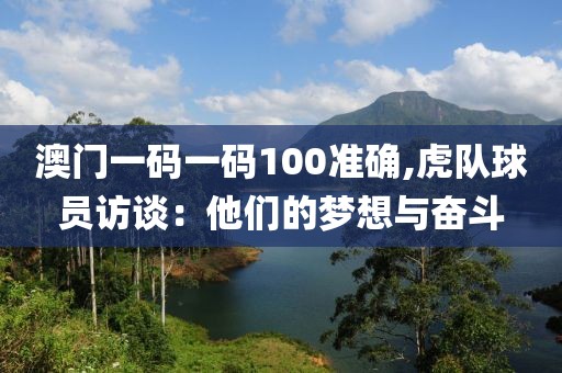 澳门一码一码100准确,虎队球员访谈：他们的梦想与奋斗