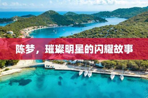 陈梦，璀璨明星的闪耀故事